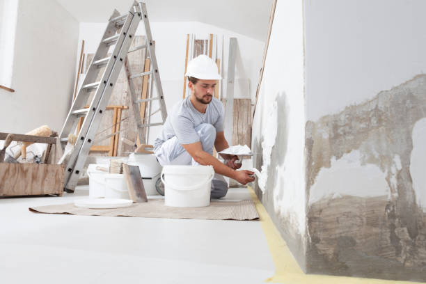 Best Mold Damage Restoration  in Zilwaukee, MI