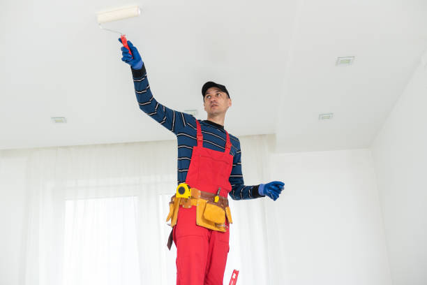 Zilwaukee, MI Mold Removal Company