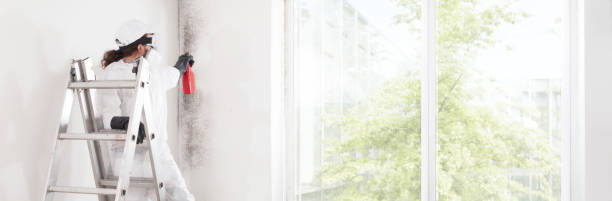 Best Industrial Mold Remediation  in Zilwaukee, MI